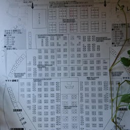 画像 5月3日はあびら道の駅 の記事より 6つ目