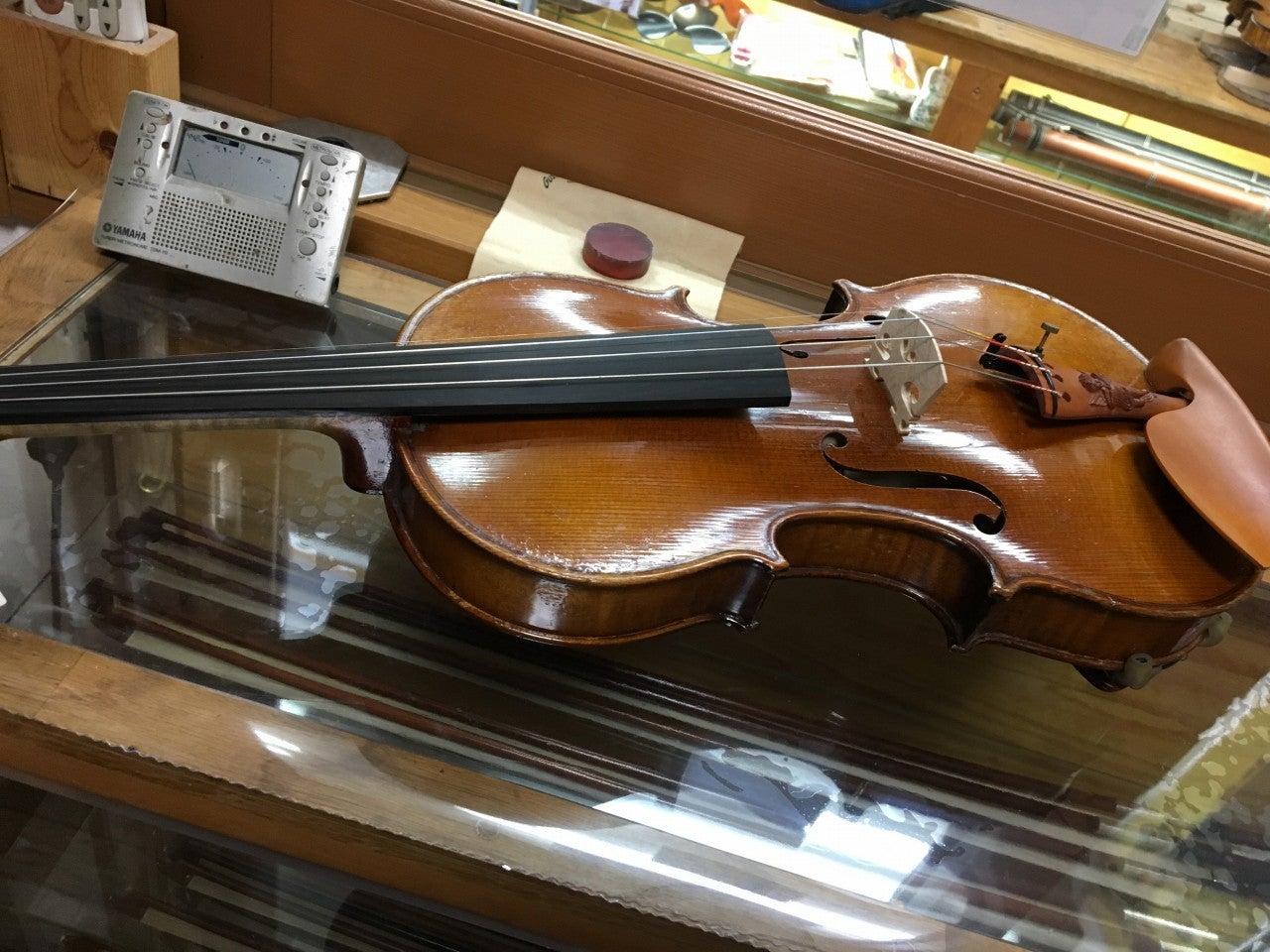 フルサイズヴァイオリン購入！！ | 私のお気に入りなものたち