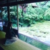 京都 瑠璃光院の画像