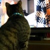 5/13 今日は愛犬の日の画像