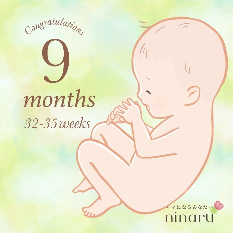妊娠9ヶ月とお腹の張り Himawariのブログ