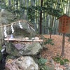 真名井神社の画像
