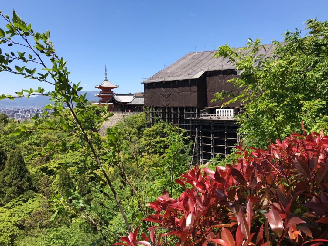 清水寺の巻の記事画像