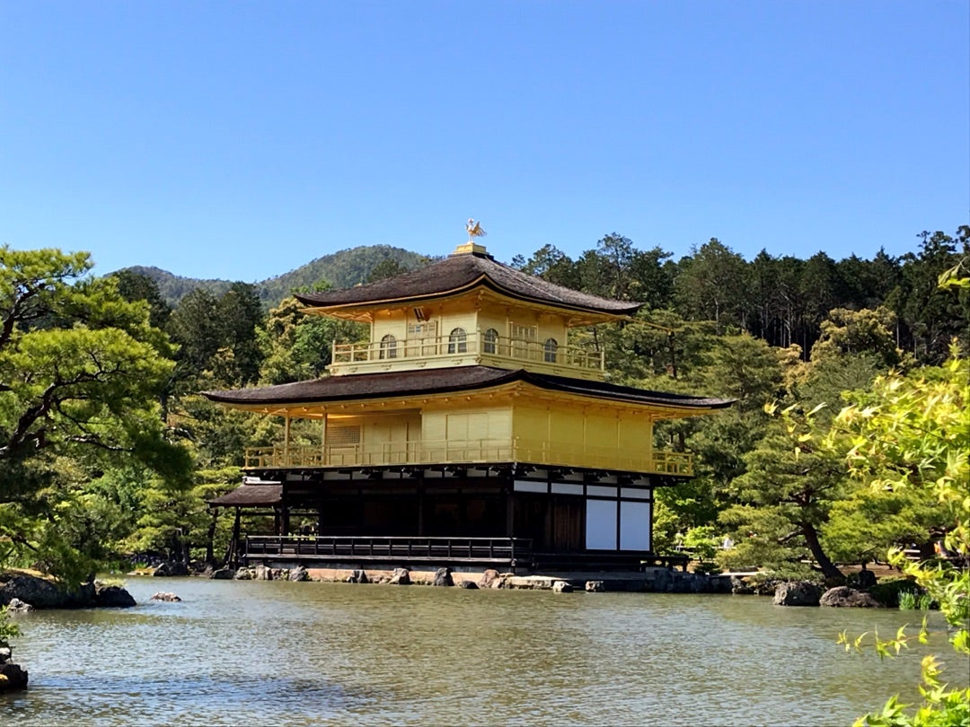 金閣寺の巻の記事画像