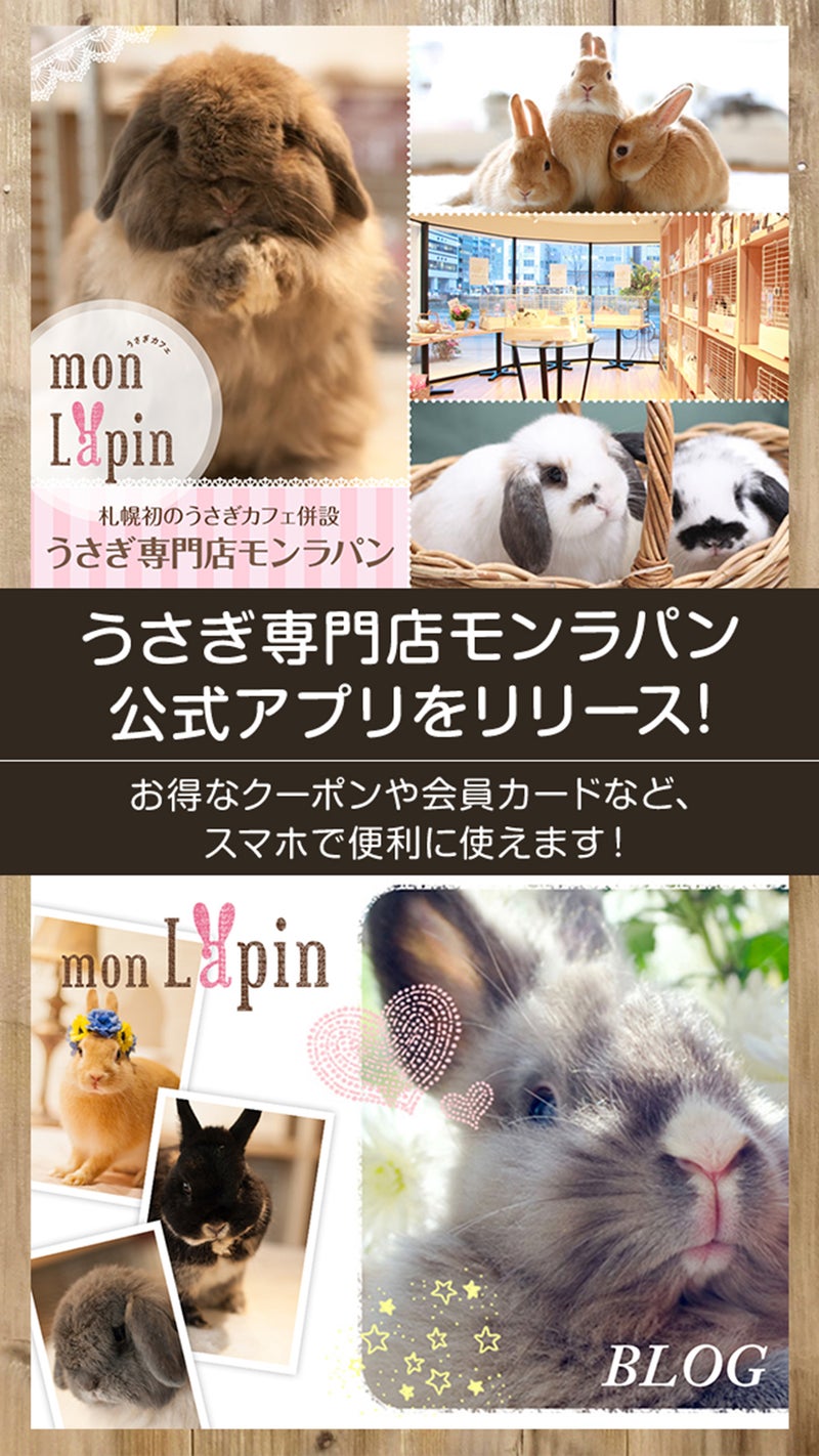 ☆バニーの日☆ | 札幌のうさぎ専門店“mon Lapin”のブログ
