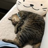 6/1  土曜日の画像