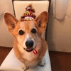11歳おめでとう〜の画像