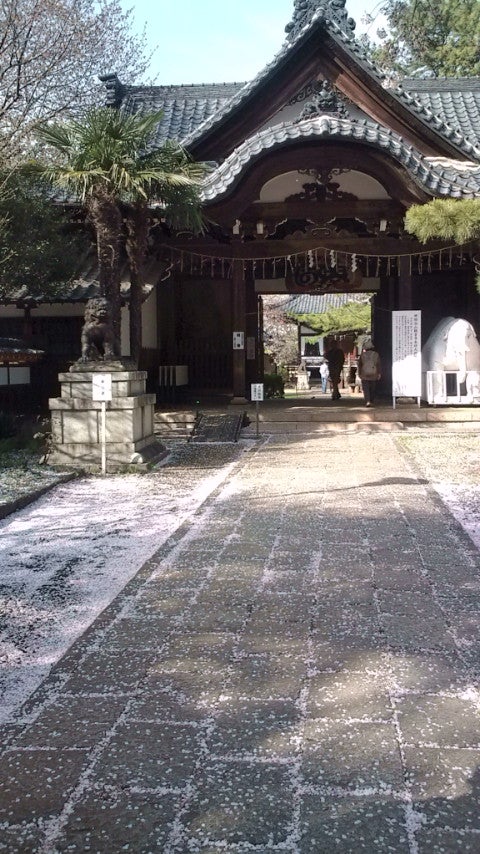 芸歴１年。の記事画像