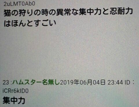 IMG_20190605_055443.jpg