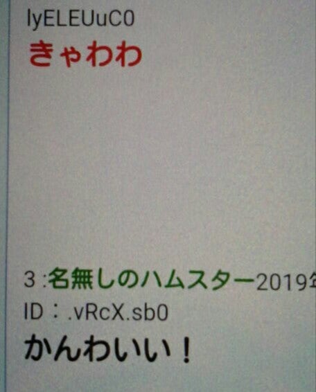 IMG_20190605_055436.jpg
