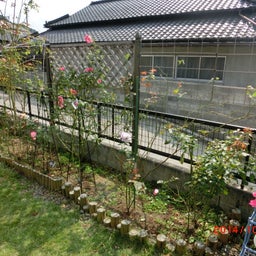 イメージ 6