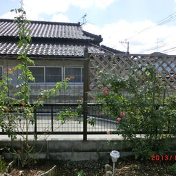 イメージ 3