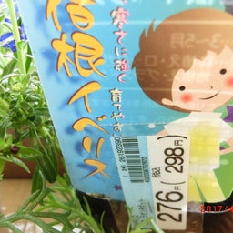 イメージ 4