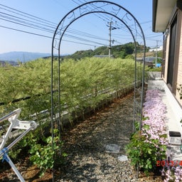 イメージ 5