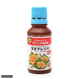 イメージ 4