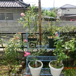 イメージ 5