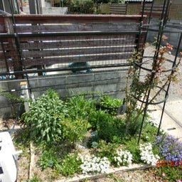 イメージ 12