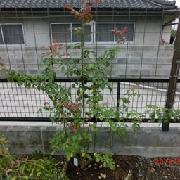 イメージ 1