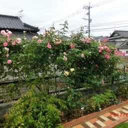 イメージ 4