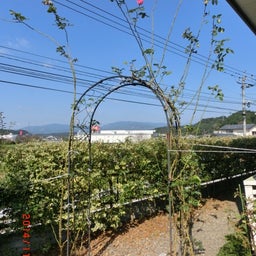 イメージ 2
