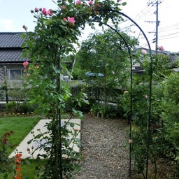イメージ 3