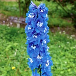 イメージ 30