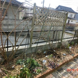 イメージ 4