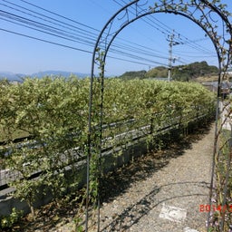 イメージ 1