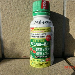 イメージ 1