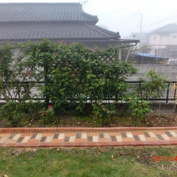 イメージ 6