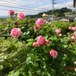 イメージ 1