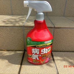 イメージ 5