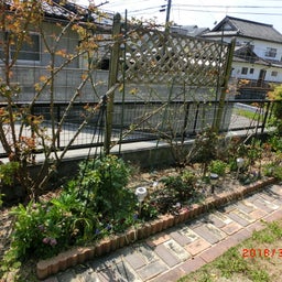 イメージ 5