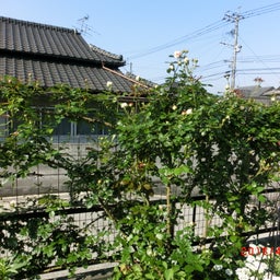 イメージ 4