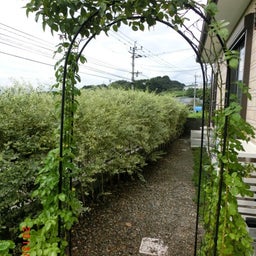 イメージ 2