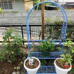 イメージ 2