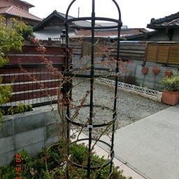 イメージ 1