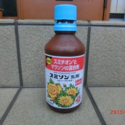イメージ 4
