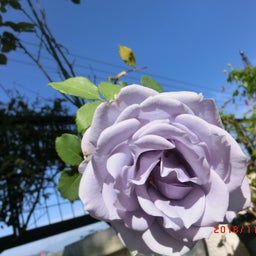 イメージ 1