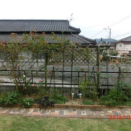 イメージ 4