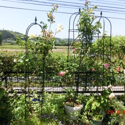 イメージ 9