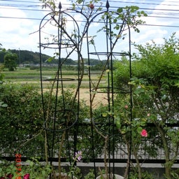 イメージ 2