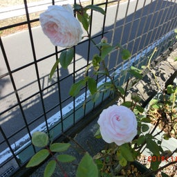 イメージ 1