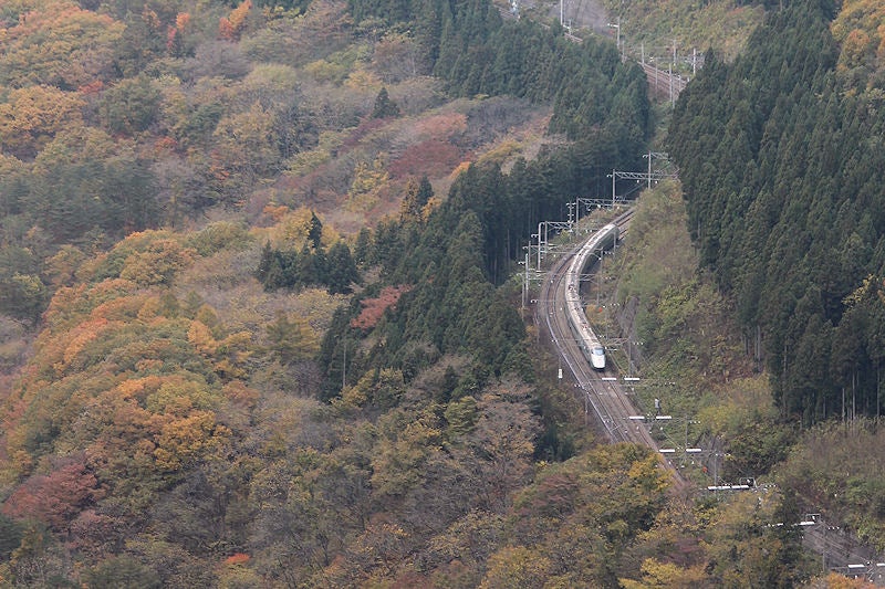 イメージ 15