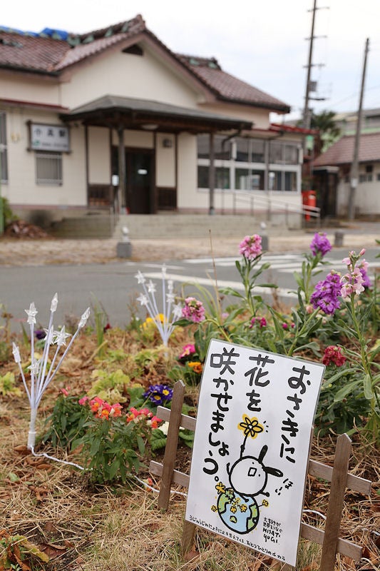 イメージ 8