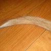 酷暑被害？の画像