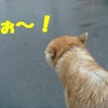 にゎか雨 (*^エ^*；の画像