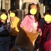 今日はモテモテ♪の画像