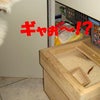 ぎゃぁ～！の画像