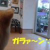 かゅぃ！ カユィ ！の画像